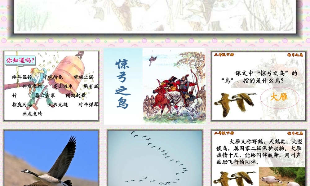 惊弓之鸟课件修改