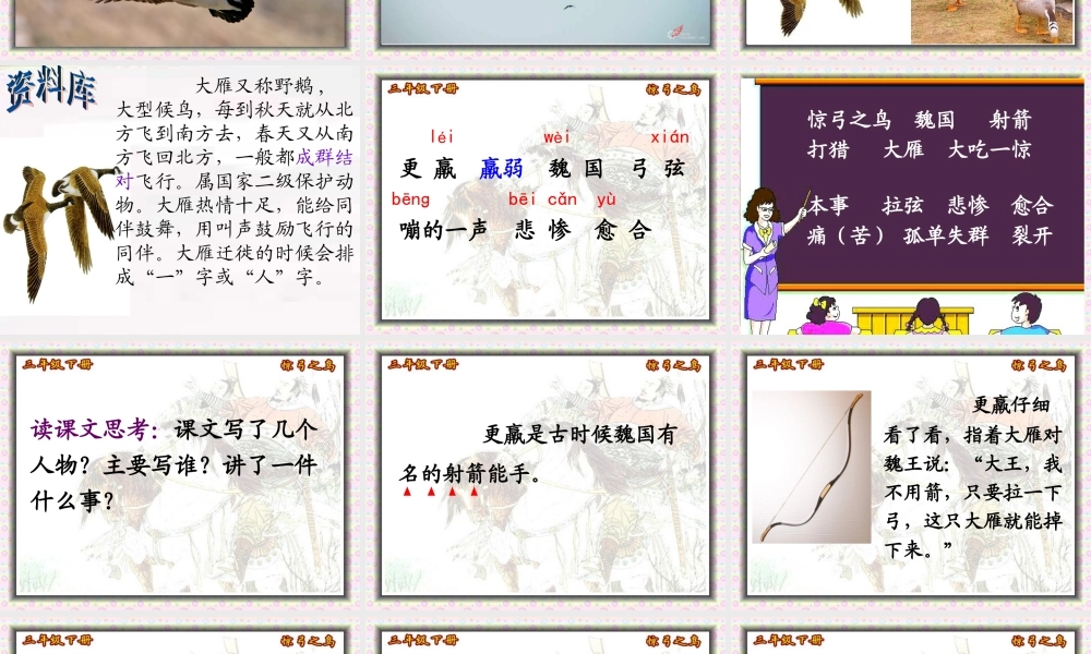 惊弓之鸟课件修改