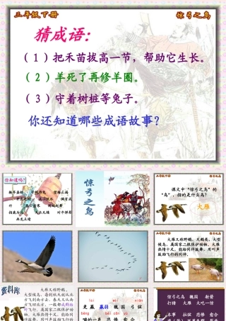 惊弓之鸟课件修改