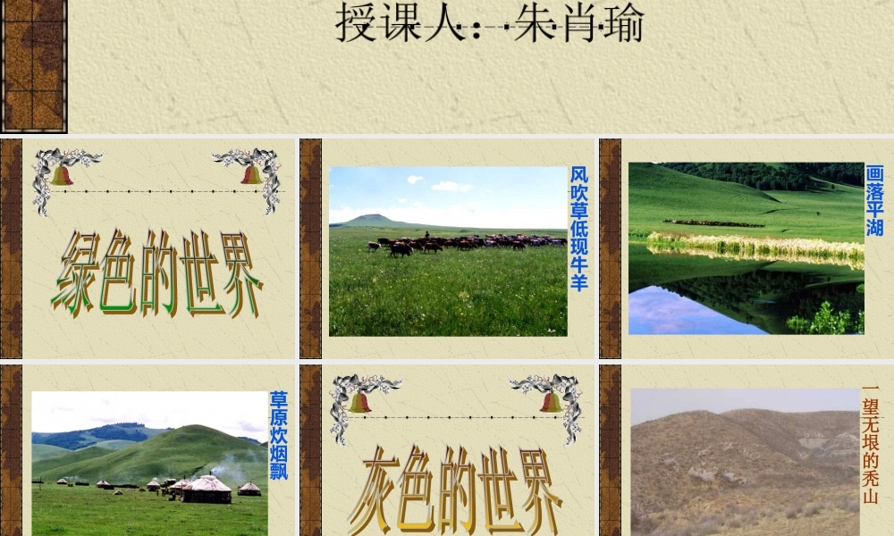 世界因生命而精彩1