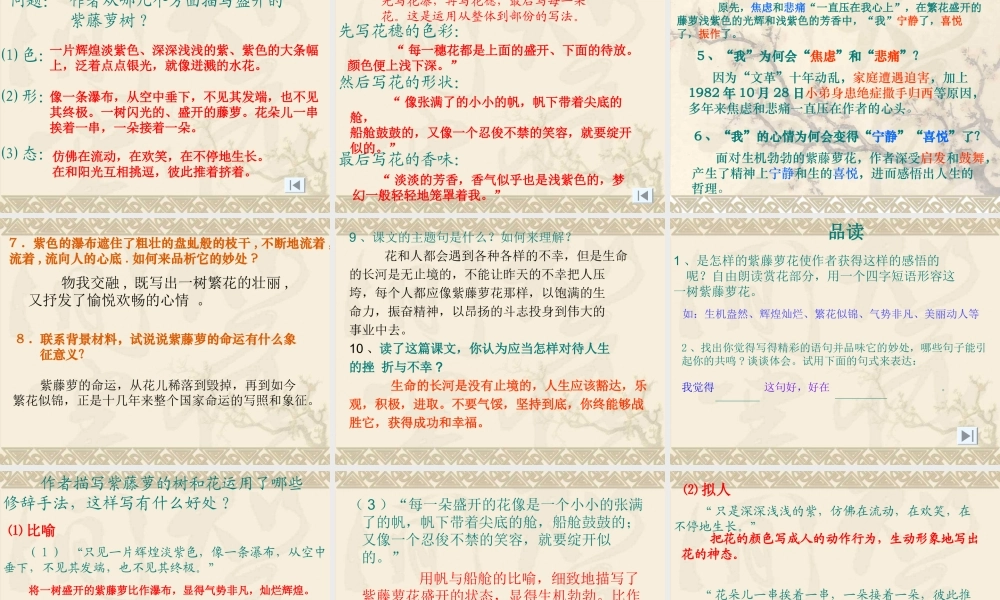 紫藤萝瀑布课件 (3)