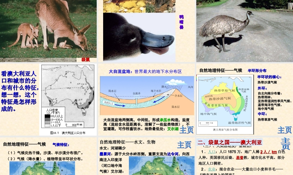 大洋中的陆地—大洋洲