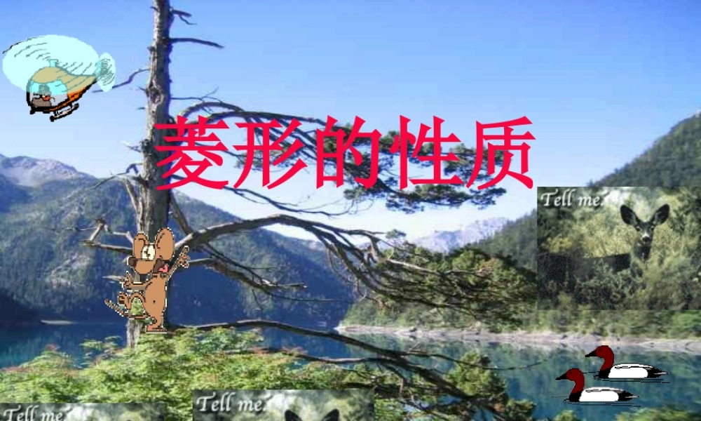 菱形的性质星期一