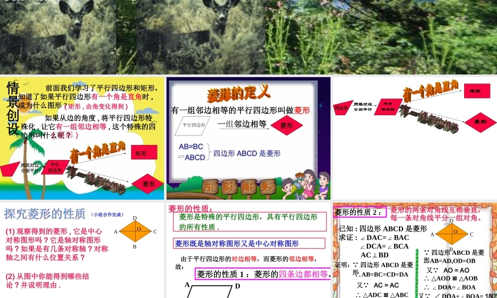 菱形的性质星期一