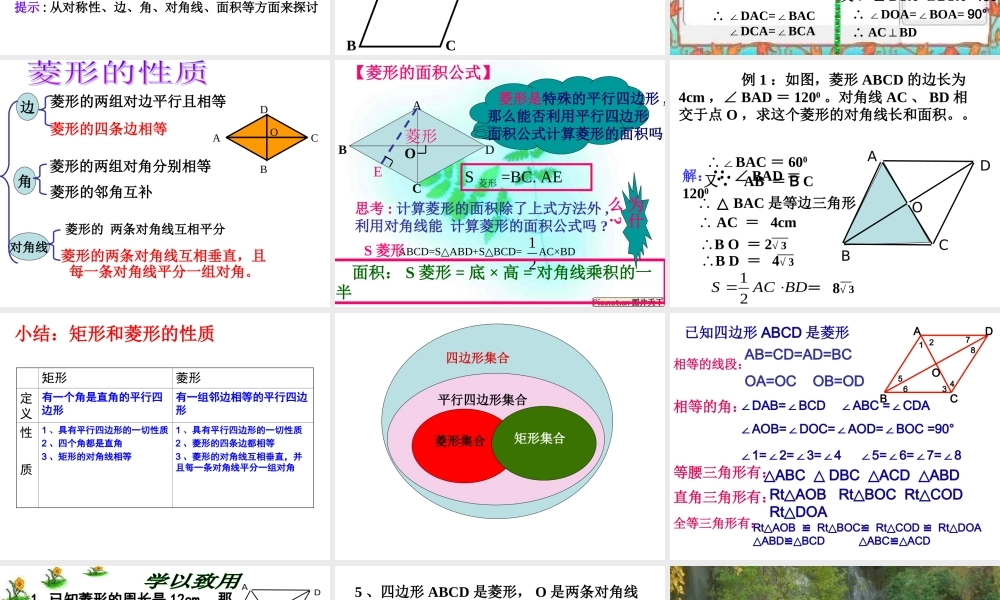 菱形的性质星期一