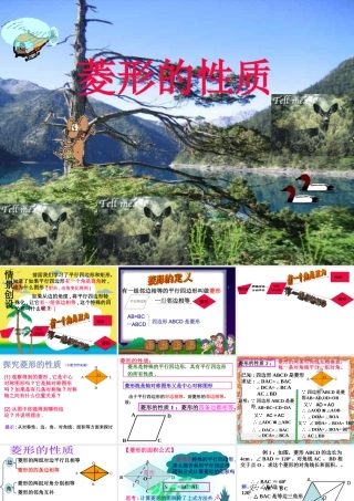 菱形的性质星期一