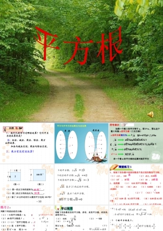 平方根练习PPT