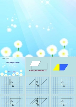 平行四边形的面积新