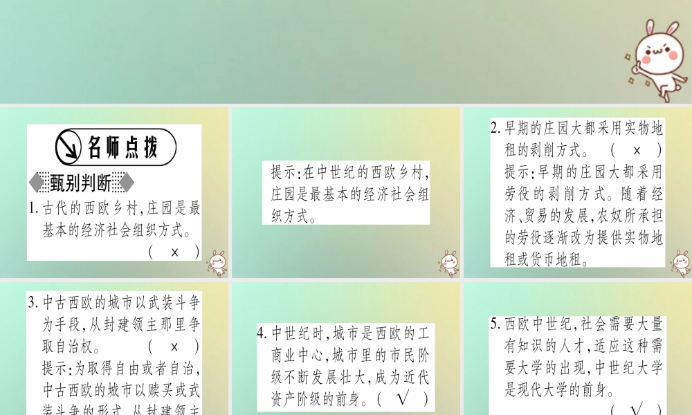 九年级历史上册 第2单元 中古时期的欧洲和亚洲 第7课 西欧中世纪庄园和城市课件 中华书局版 课件