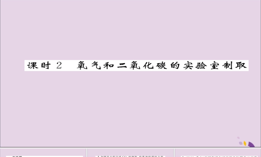 (遵义专版)中考化学总复习 第1编 教材知识梳理篇 第2章 身边的化学物质 课时2 氧气和二氧化碳的实验室制取(精练)课件