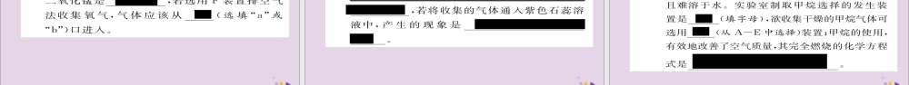 (遵义专版)中考化学总复习 第1编 教材知识梳理篇 第2章 身边的化学物质 课时2 氧气和二氧化碳的实验室制取(精练)课件