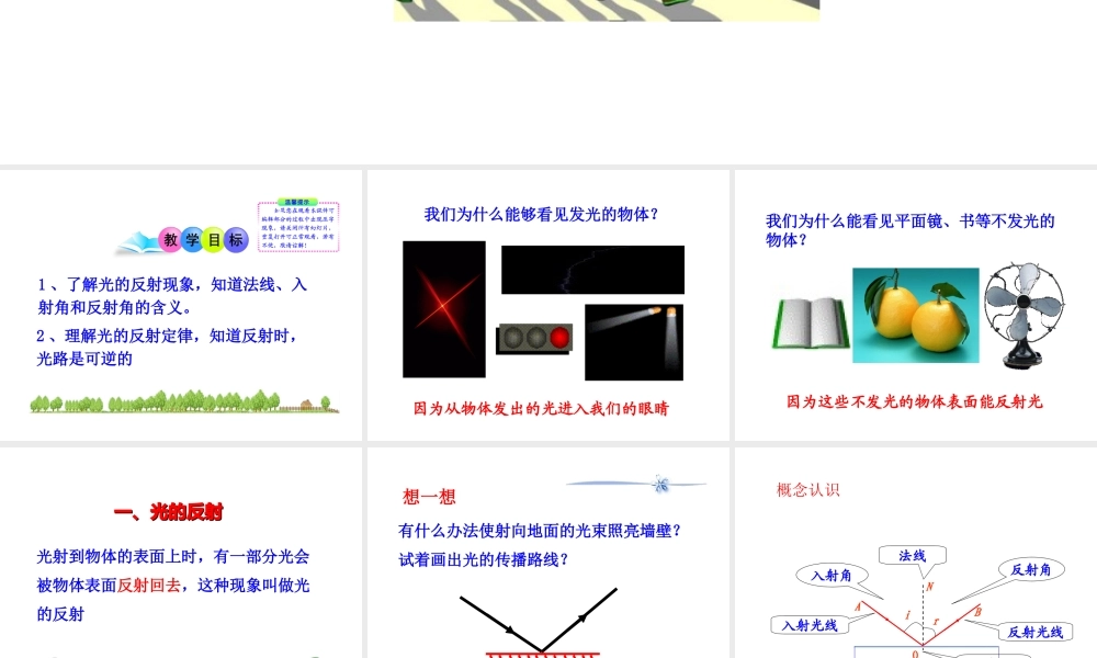 探究光的反射定律（沪粤版八上）