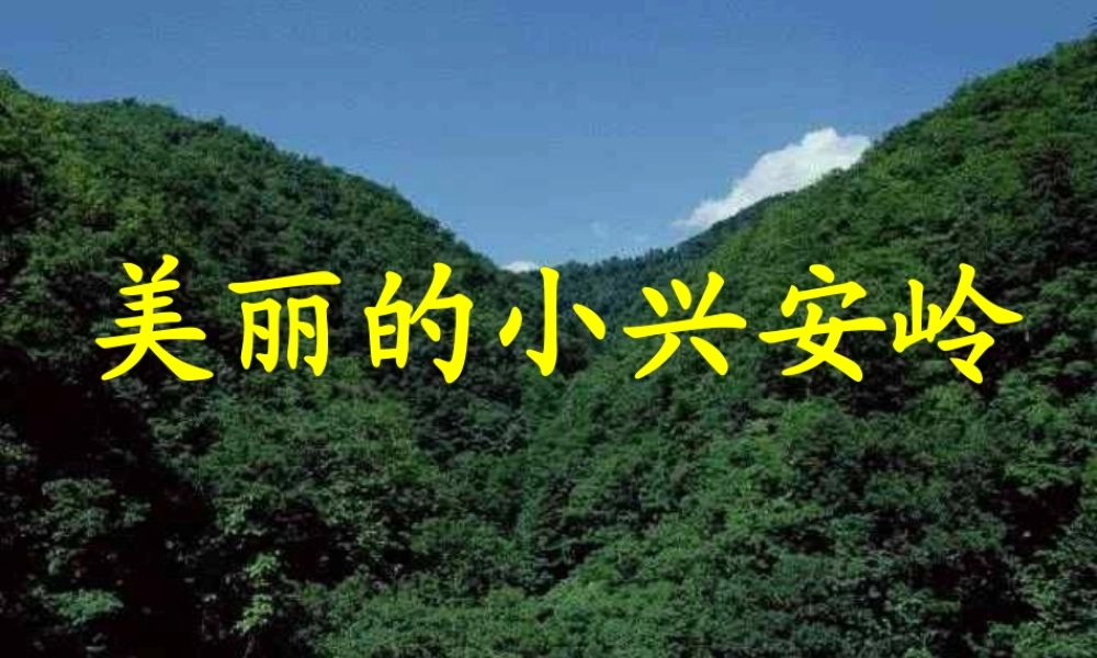 美丽的小兴安岭PPT 