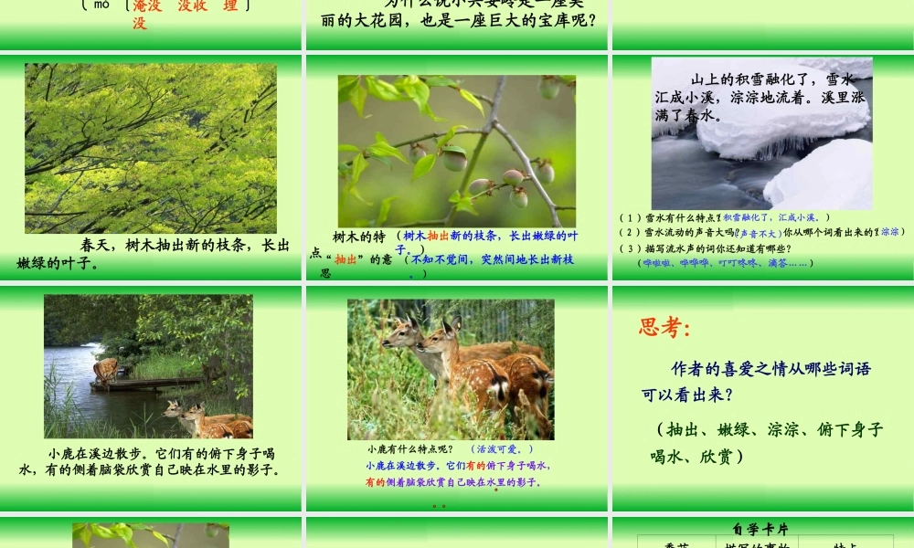 美丽的小兴安岭PPT 