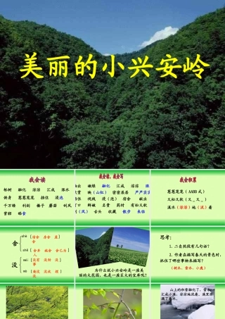 美丽的小兴安岭PPT 