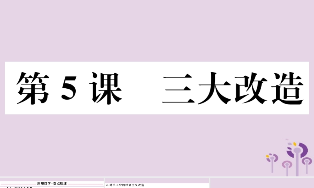 (玉林专版)八年级历史下册 第二单元 社会主义制度的建立与社会主义建设的探索 第5课 三大改造习题课件 新人教版 课件