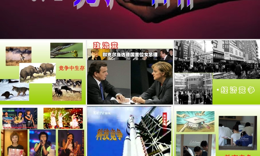 竞争与合作课件