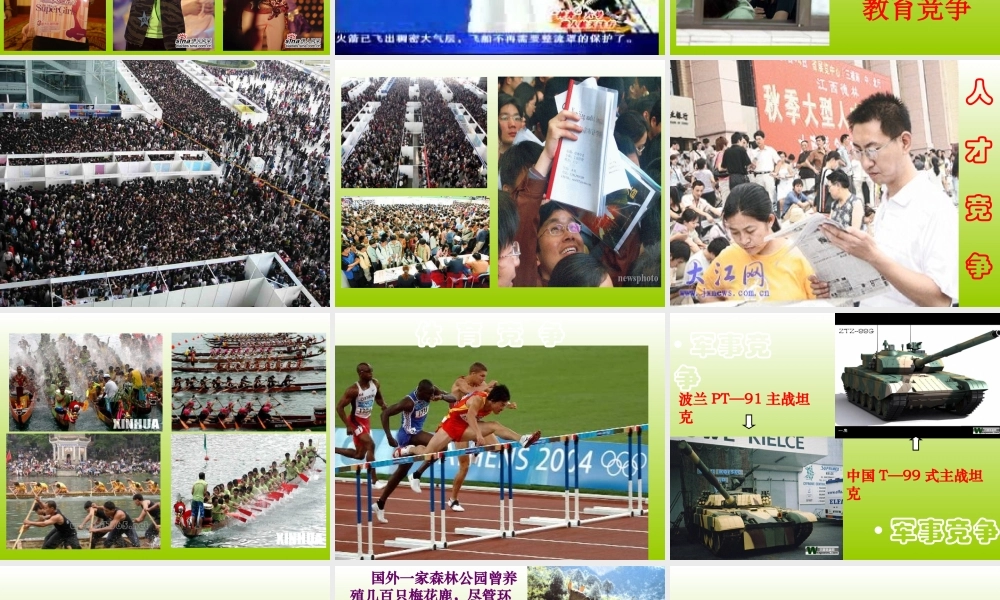 竞争与合作课件