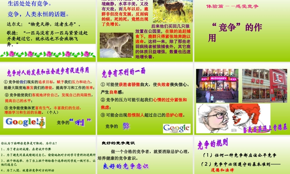 竞争与合作课件