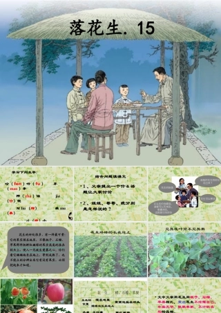 五上《落花生》