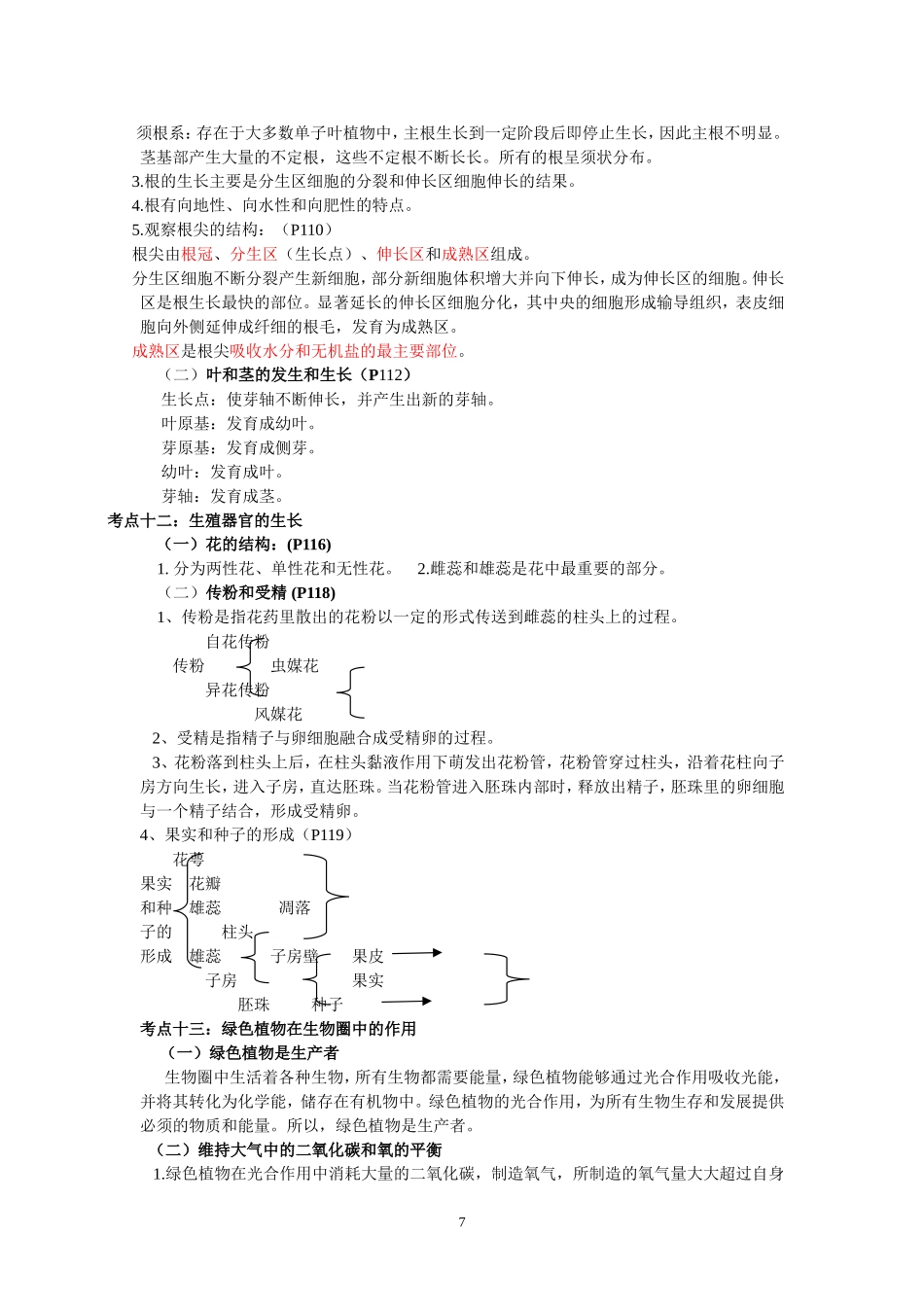 生物圈中的绿色植物（二）_第3页