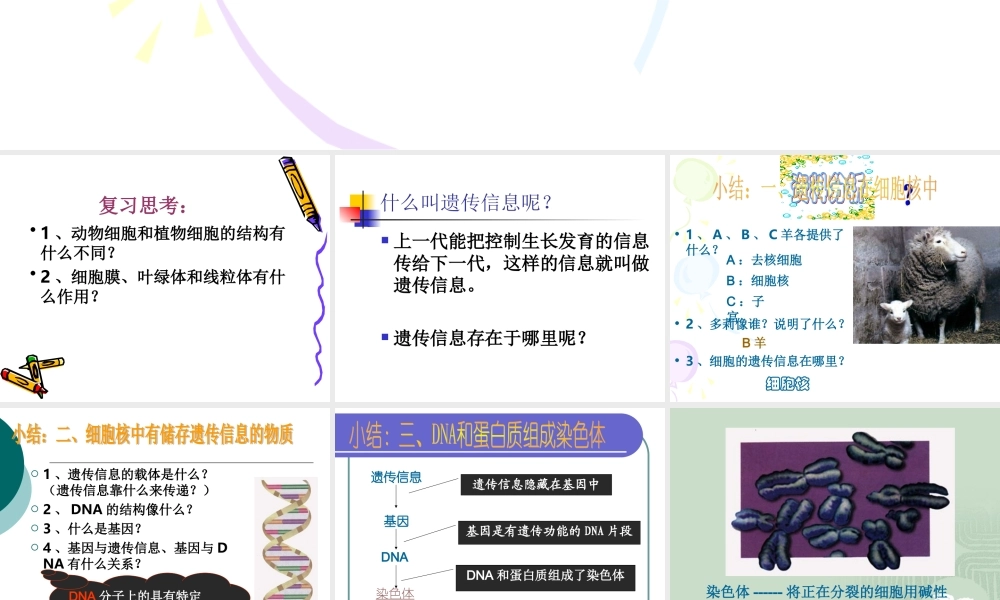 七年级上册生物细胞核是遗传性信息库