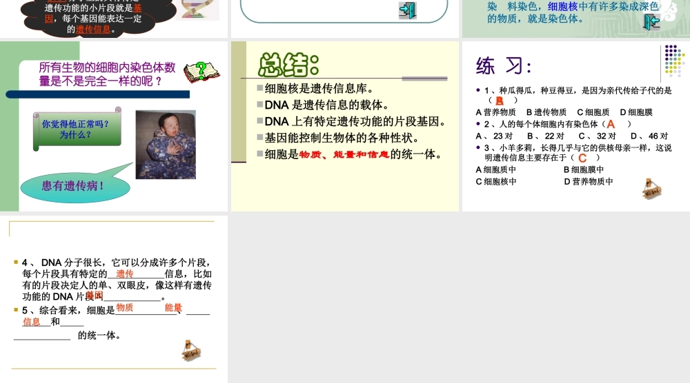 七年级上册生物细胞核是遗传性信息库