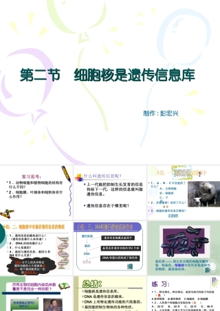 七年级上册生物细胞核是遗传性信息库