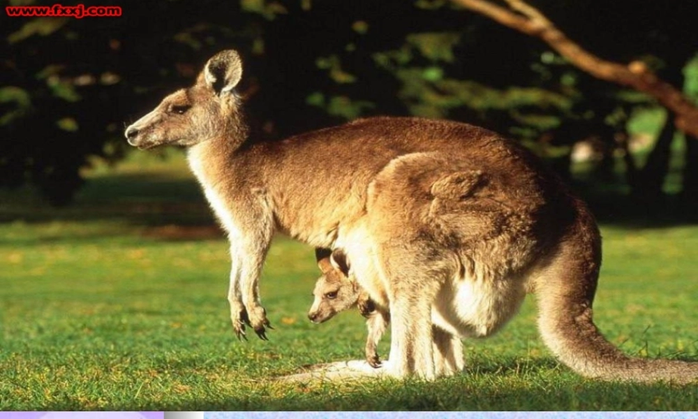 从现在开始第二课时PPT课件