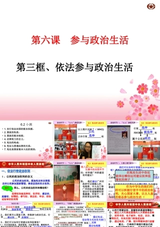 依法参与政治生活 (3)