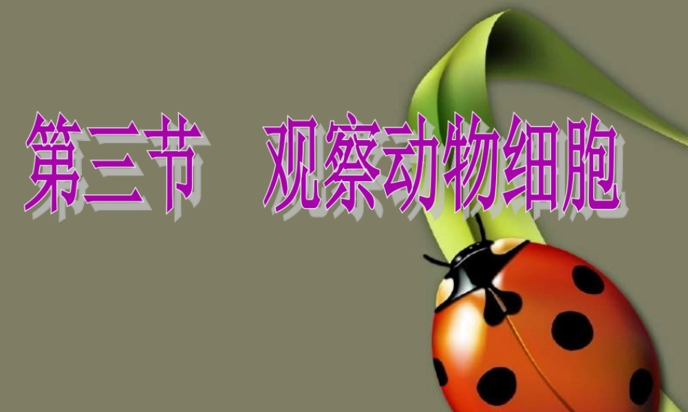观察动物细胞课件