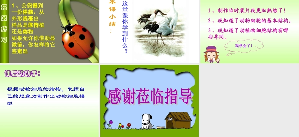 观察动物细胞课件