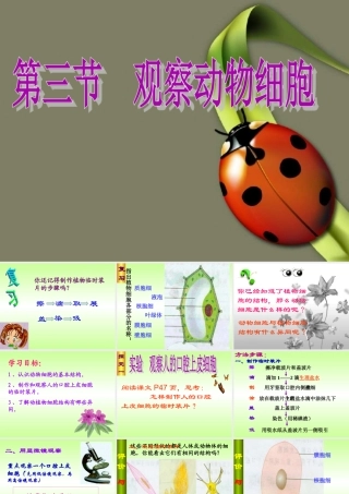 观察动物细胞课件