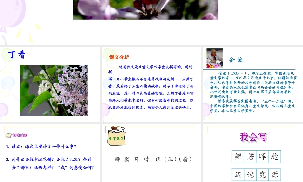 (语文A版)五年级语文上册课件_寻找幸运花瓣_1