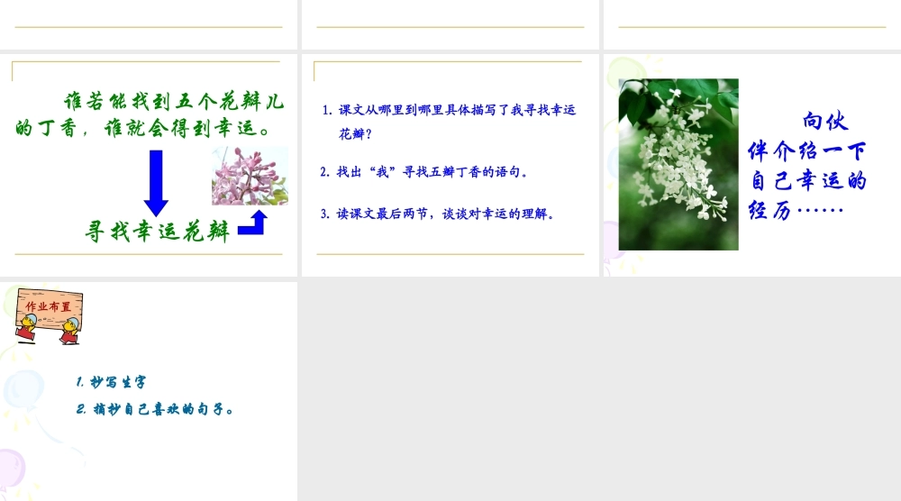 (语文A版)五年级语文上册课件_寻找幸运花瓣_1