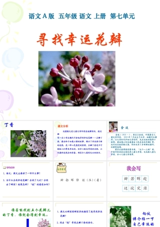 (语文A版)五年级语文上册课件_寻找幸运花瓣_1