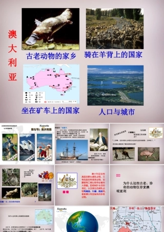 七年级地理下册(8.7 澳大利亚)课件 湘教版 课件