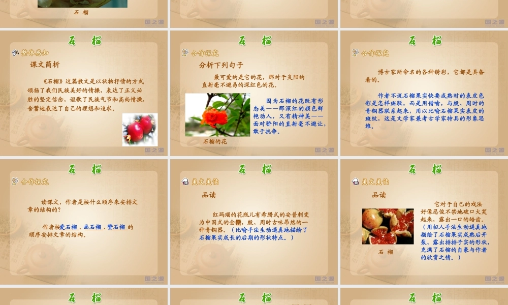 《石榴》课件