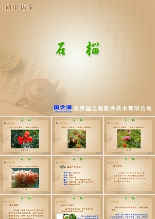 《石榴》课件
