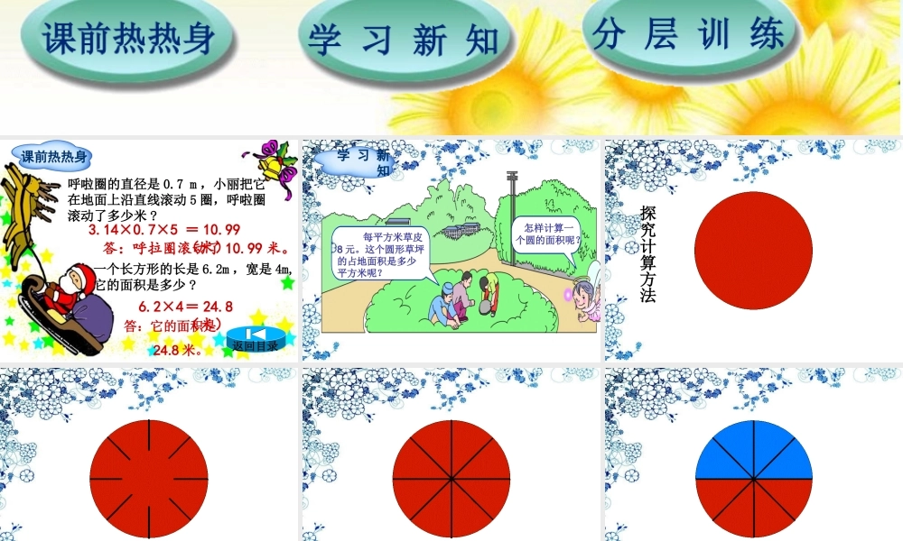 单元第节第课时圆的面积