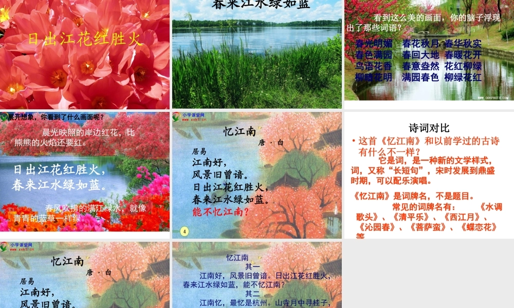 四年级语文下册《古诗词三首—忆江南》PPT课件之二(人教新课标)