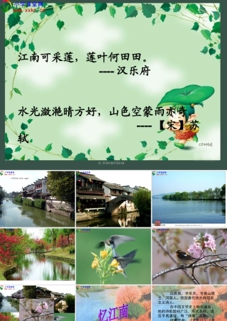 四年级语文下册《古诗词三首—忆江南》PPT课件之二(人教新课标)