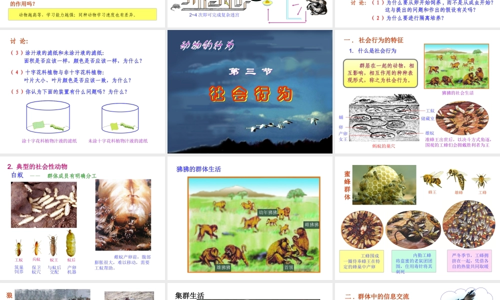 先天性行为和学习行为社会行为