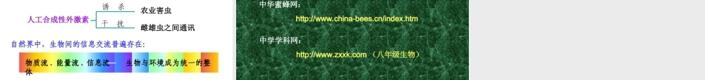 先天性行为和学习行为社会行为