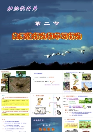 先天性行为和学习行为社会行为