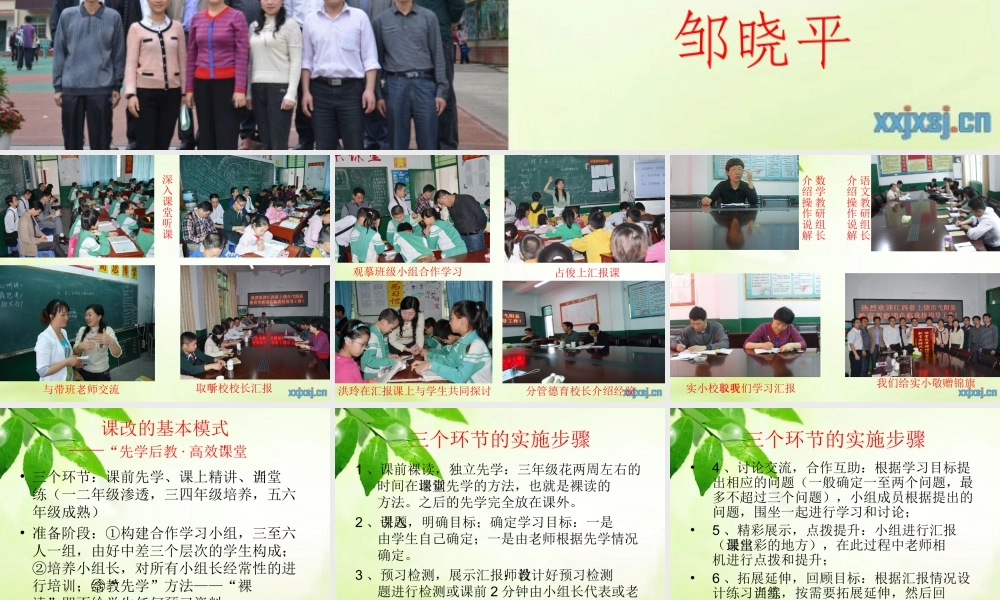 课改之花邹晓平