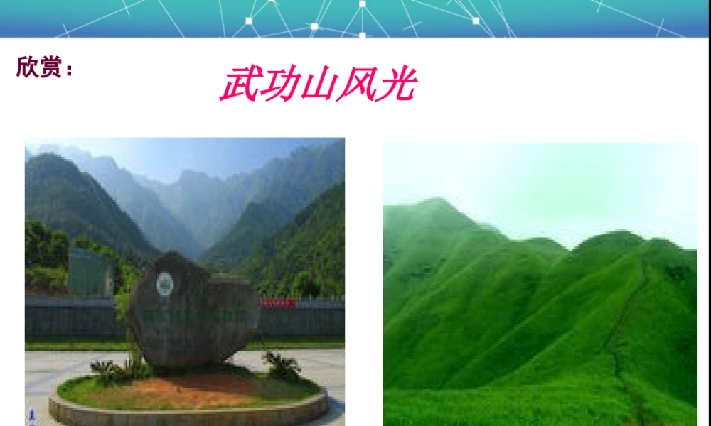 细菌和真菌在自然界中的作用