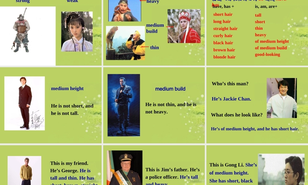 七年级英语下册《Unit9_What_does_he_look_like_Section_A》课件_(新版)人教新目标版