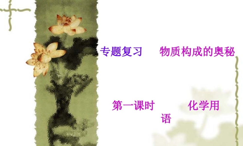 专题复习2化学用语 (2)