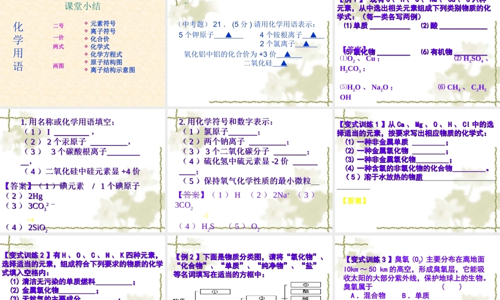 专题复习2化学用语 (2)